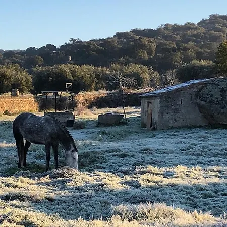 La Tahona Del Abuelo Tr Cc 00344 * Plasenzuela