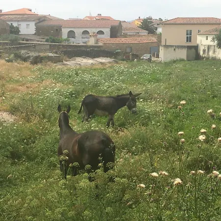 Séjour à la campagne La Tahona Del Abuelo Tr Cc 00344