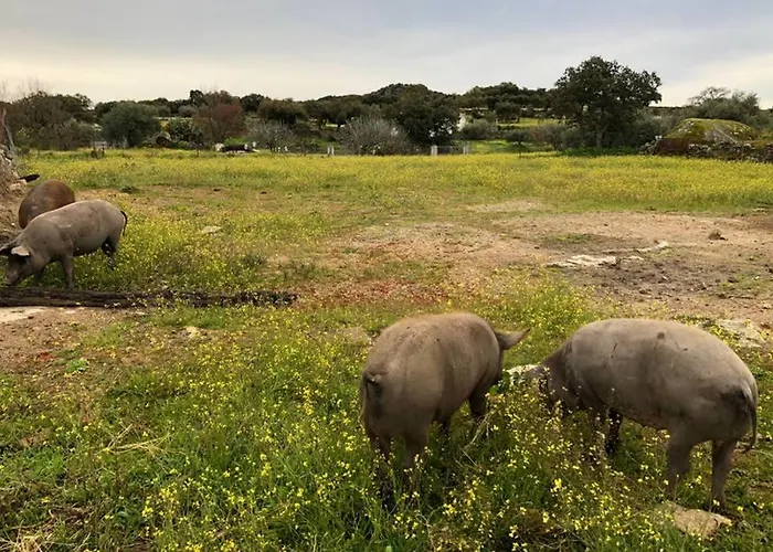Casa rural Casa - Rural La Tahona Del Abuelo *