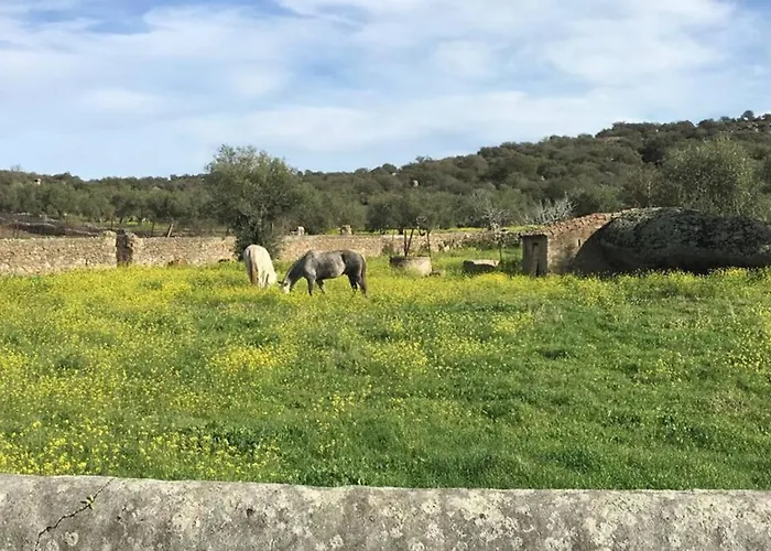 Casa - Rural La Tahona Del Abuelo Plasenzuela