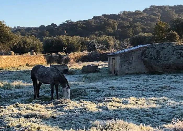 Casa - Rural La Tahona Del Abuelo * Plasenzuela
